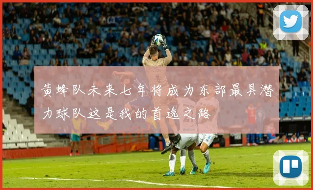 黄蜂队未来七年将成为东部最具潜力球队这是我的首选之路