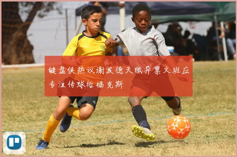键盘侠热议谢泼德天赋异禀文班应专注传球给福克斯