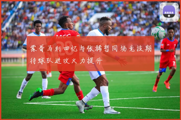 蒙哥马利回忆与张稀哲同场竞技期待球队进攻火力提升