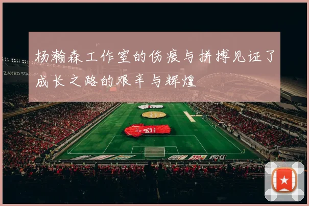 杨瀚森工作室的伤痕与拼搏见证了成长之路的艰辛与辉煌